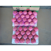 Apple fruit fresh fully blush big sizes